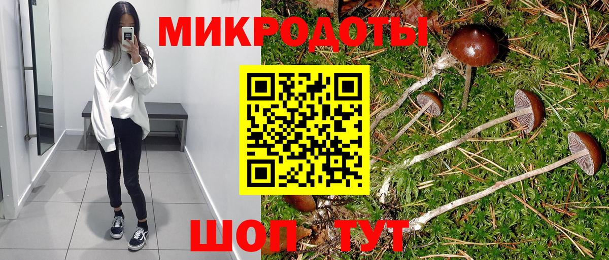 Галлюциногенные грибы GOLDEN TEACHER Казань